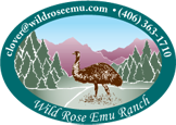 Wild Rose Emu Ranch